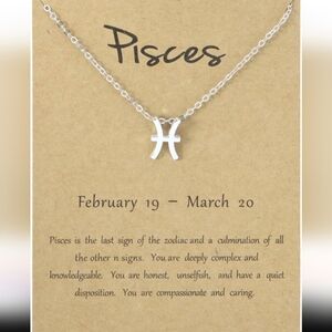 Silver Zodiac Necklace